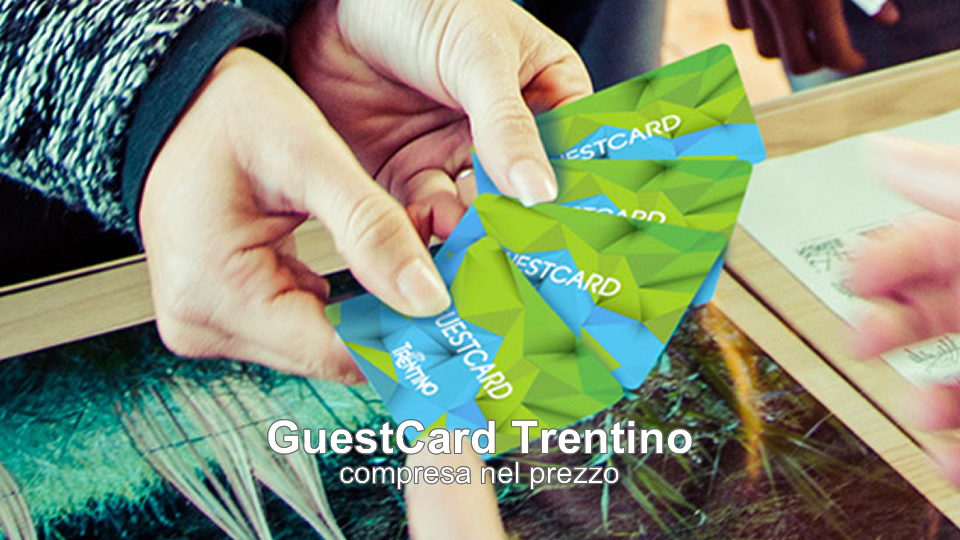 Guest card